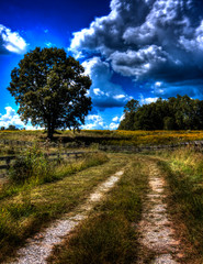 Obraz premium farm grove lane