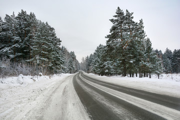 Snowy winter road in pine and birch forest.The Northern part of Russia