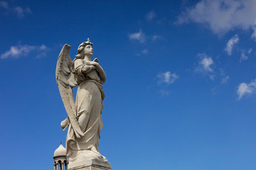 angel 
