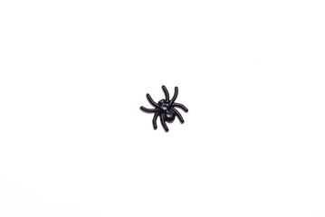 Halloween decorations  black spider on white background , Halloween holiday background , top view