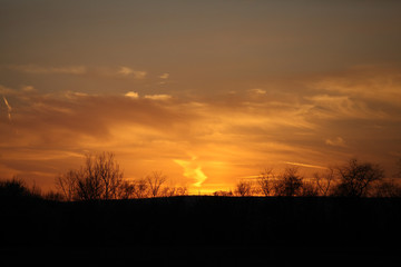Fototapeta na wymiar Pre-sunrise orange thru cloud cover behind trees