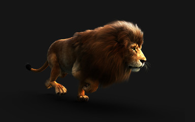 Fototapeta na wymiar Dangerous Lion Isolated on Black Background, with Clipping Path, 3d Illustration.