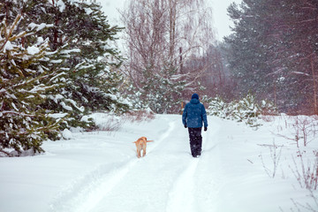 Man with Labrador retriever dog walking in the countryside in winter