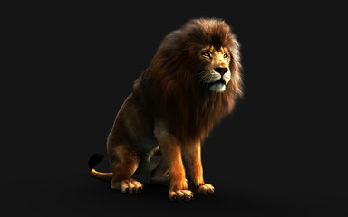 Obraz na płótnie Canvas Dangerous Lion Isolated on Black Background, with Clipping Path, 3d Illustration.