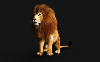 Naklejka na ściany i meble Dangerous Lion Isolated on Black Background, with Clipping Path, 3d Illustration.