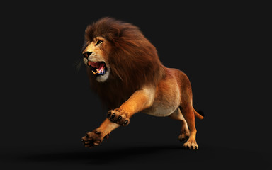 Dangerous Lion Isolated on Black Background, with Clipping Path, 3d Illustration.