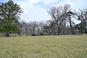 早春の大台ケ原山の情景