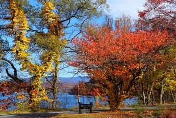 十和田湖　湖畔の紅葉