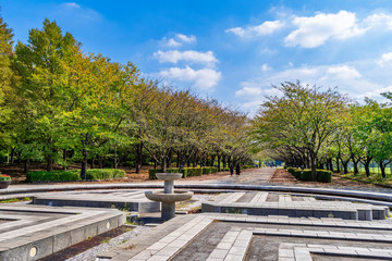 柏の葉公園の噴水広場
