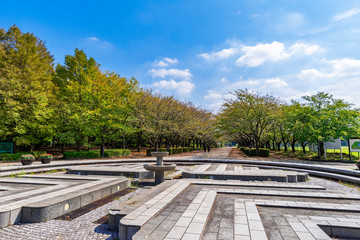 Fototapeta premium 柏の葉公園の噴水広場