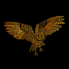 Hand drawn owl bird. It can be used for print design. Digital art of owl bird