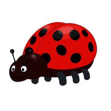 Two Ladybugs - Cartoon Vector Image