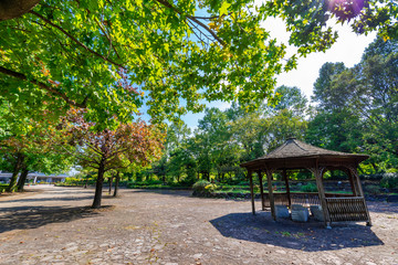 柏の葉公園の風景