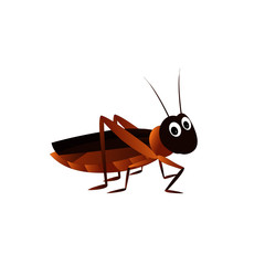 Brown Cricket - Cartoon Vector Image