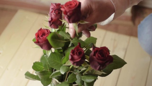 Choosing single red rose of of a bouquet of red roses in a vase