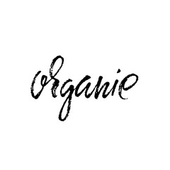 Organic lettering. Handwritten modern dry brush calligraphy. Vector typography banner.