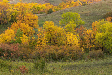 Autumn foilage in a Saskatchewan valley