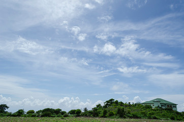 Beautiful Sky Over Green Lush