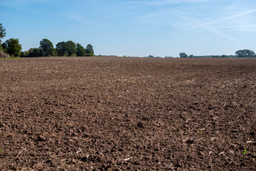 A plowed and harrowed field