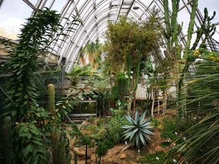 Botanischer Garten Indoor Gewächshaus
