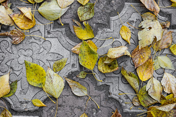 Obraz premium yellow leaves on the asphaltYellow autumn leaves lie on the paving slabs. A naturally recurring pattern of the background