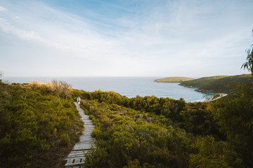 Lone woman walking down a single path through shrubs and grass towards a beautiful view of a bay at Shelley Beach, Albany, Western Australia.