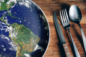 The planet Earth plate with a fork and knife on a wooden background. World hunger concept. Feed the...