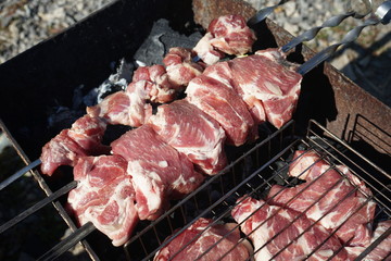 meat is fried on the grill over the coals during the barbecue season