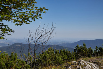 Obraz na płótnie Canvas Mountain peaks visible through the trees on a good summer day