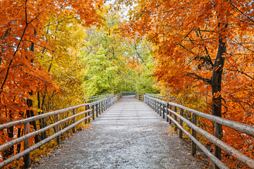 Fototapeta na wymiar wooden bridge in the forest, autumnal colored trees and shrubs