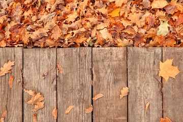 Fallen yellowed autumn leaves on a wooden rustic background, table. Falling leaves natural background. Top view, space for text.