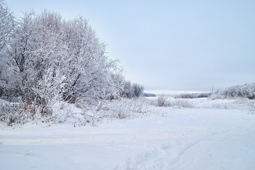 Snowy road among the trees covered with frost on a winter