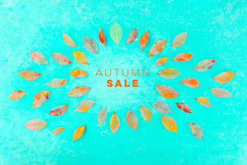 Fototapeta na wymiar Autum Sale. Discount banner or flier design template with vibrant autumn leaves and a place for logo on a teal blue background
