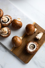 Fresh raw royal champignon on marble board