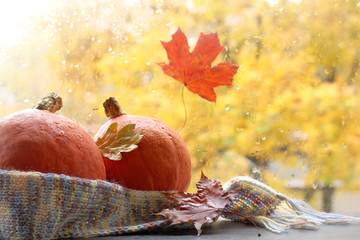 Naklejka na ściany i meble pair of pumpkins wrapped in a scarf and decorated with maple leaves in the background with window with raindrops. autumn still life