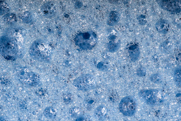 Obraz premium Sponge detail texture, sponge texture closeup background. Cellulose blue sponge texture