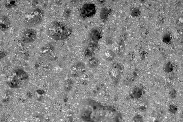 Sponge detail texture, sponge texture closeup background. Cellulose sponge texture. Black and white