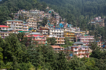 Fototapeta na wymiar Colorful houses and a green pine forest in Himalaya mountains in Dharamsala, India