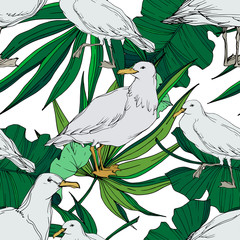 Vector Sky bird seagull in a wildlife. Black and white engraved ink art. Seamless background pattern.