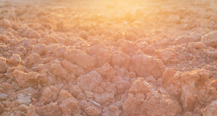 Heap of dry soil and rough mud in construction site