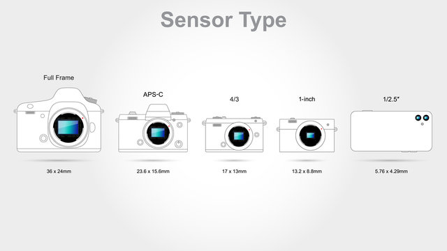 Digital camera sensor format (on scale 1: 1)