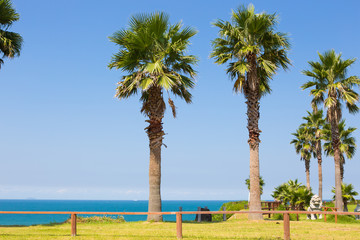 Fototapeta premium 福岡県の海の景色