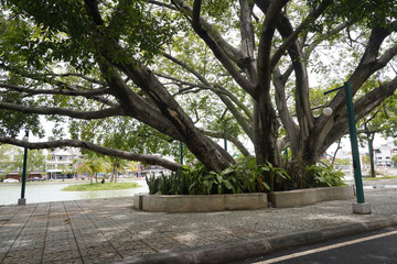 The public park is a place of government, local administrative unit. Make it a recreation place for people in various communities and cities.
