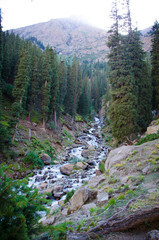 Obraz premium river in mountains