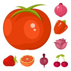 Vector design of vegetable and food icon. Collection of vegetable and ripe stock vector illustration.