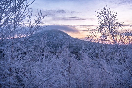 Russian Winter