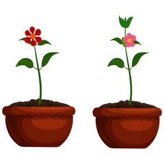 Flowering Plants in Flower Pots - Cartoon Vector Image