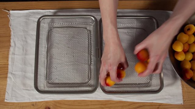 a Japanese female chef drying Nanko-Ume plums at her home kitchen, Tokyo, Japan. July 2019. Camera fixed, close-up, bird's eye view