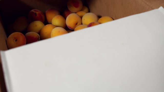 a Japanese female chef picking Nanko-Ume plums at her home kitchen, Tokyo, Japan. July 2019. Camera fixed, extreme close-up, high view