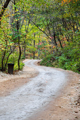 Dirt road in autumn forest